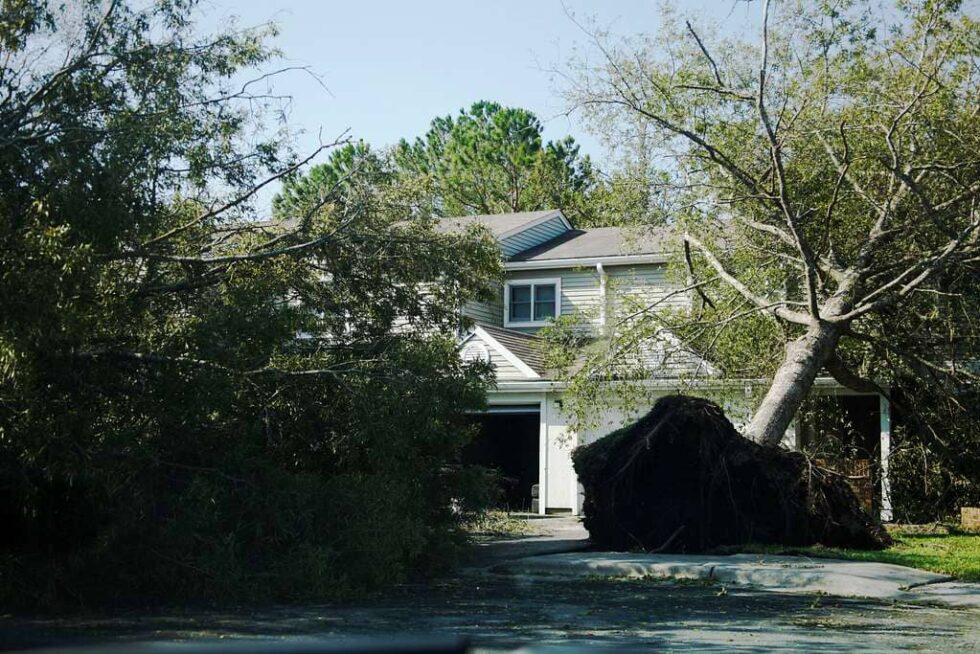 Post-Claim Reports - Better Choice Inspectors, LLC